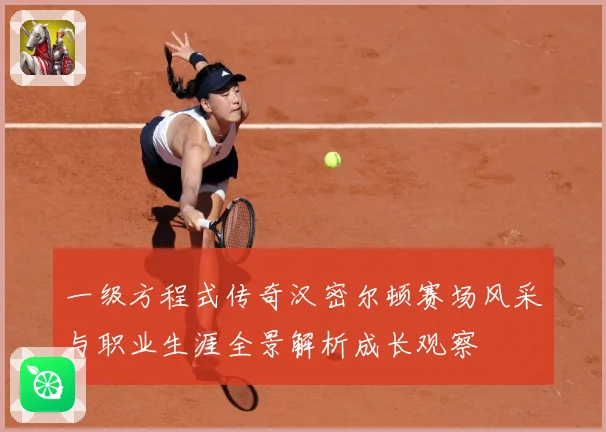 一级方程式传奇汉密尔顿赛场风采与职业生涯全景解析成长观察