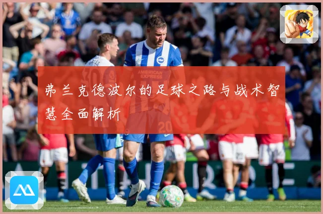 弗兰克德波尔的足球之路与战术智慧全面解析