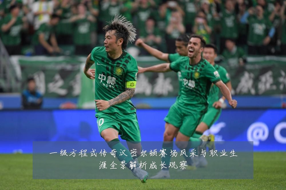 一级方程式传奇汉密尔顿赛场风采与职业生涯全景解析成长观察